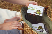 Laden Sie das Bild in den Galerie-Viewer, SanaExpert Baiome Forte, pflanzlicher Fettbinder zum Abnehmen, mit Artischocke Kaktus, Grüntee, Grüner Kaffee, vegetarisch, glutenfrei, 60 Kapseln